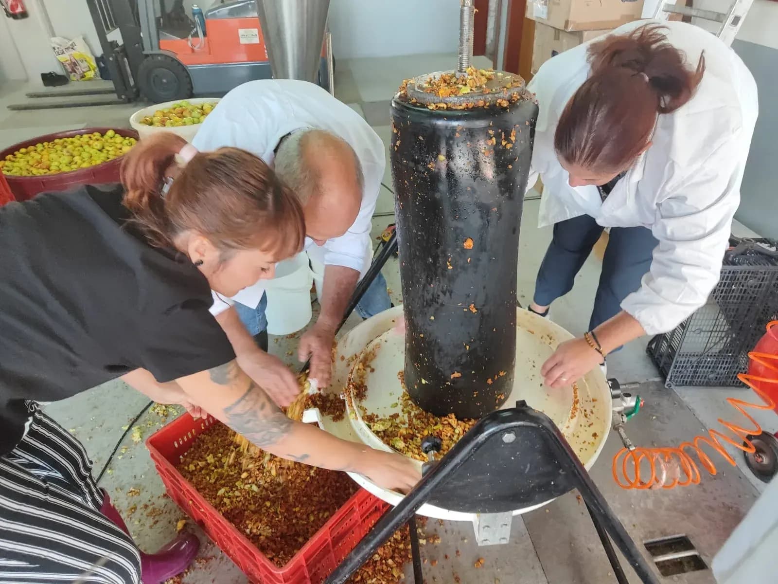 Elaboración de sidra