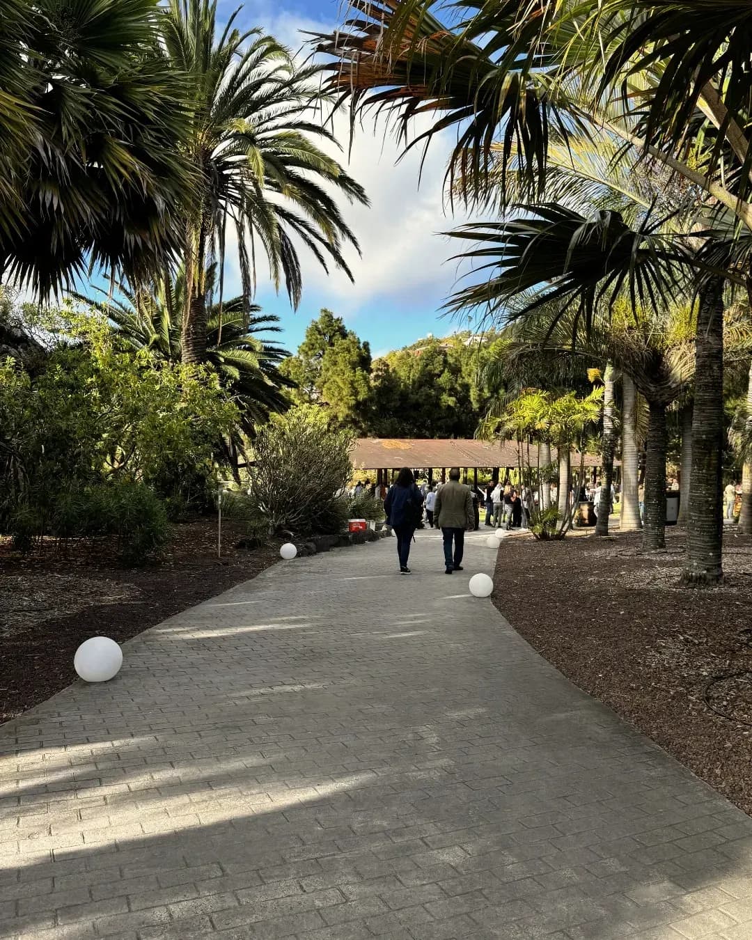 Acto de Presentación de la Cosecha 2025 de Vinos de Gran Canaria en el Jardín Canario - Materia Prima