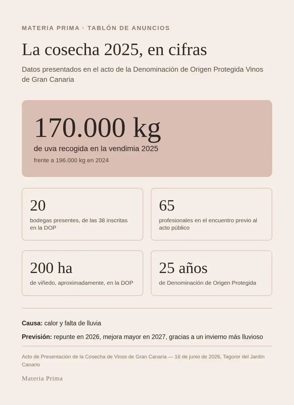 Cifras sobre el vino en Gran Canaria