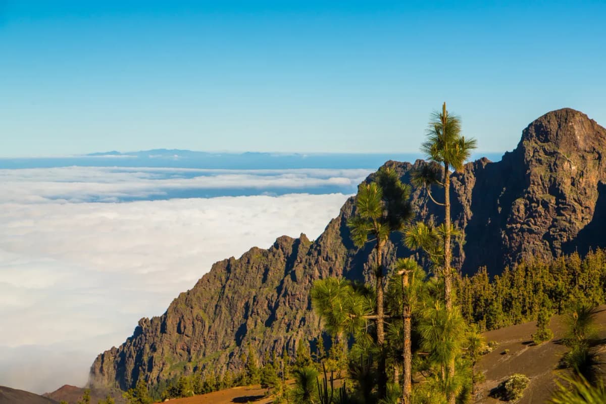 Orígenes Gran Canaria 2025 (Parte 2/2): tres cocinas, tres orígenes