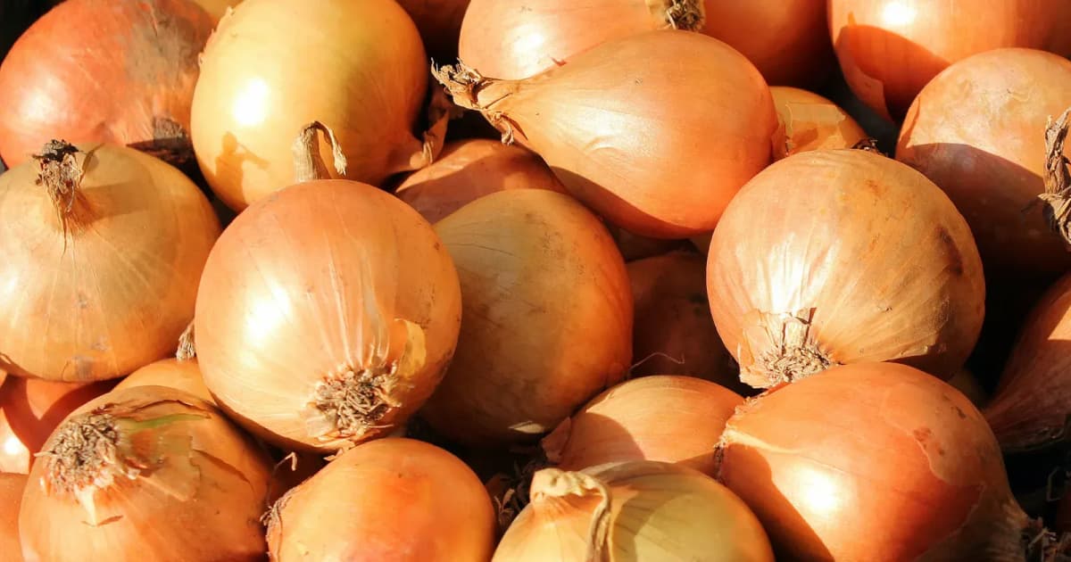 Orígenes Gran Canaria 2025 (Parte 1/2): suero, cebolla y cochino
