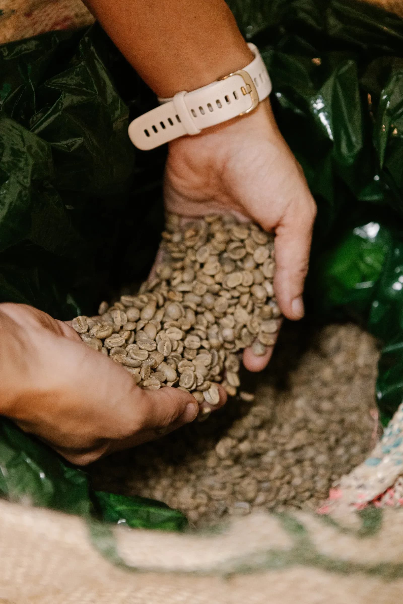 Cuptural manos granos de café - Materia Prima 
