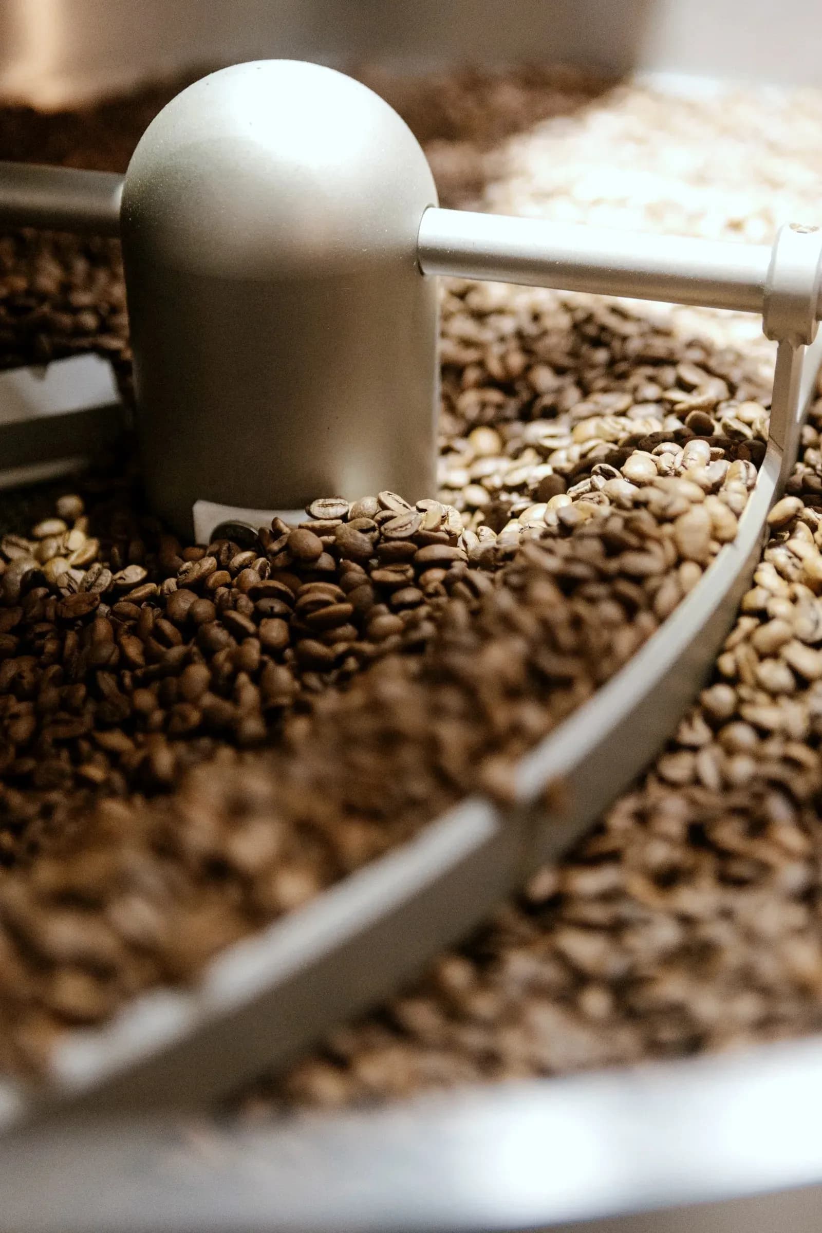 Cuptural granos de café - Materia Prima 