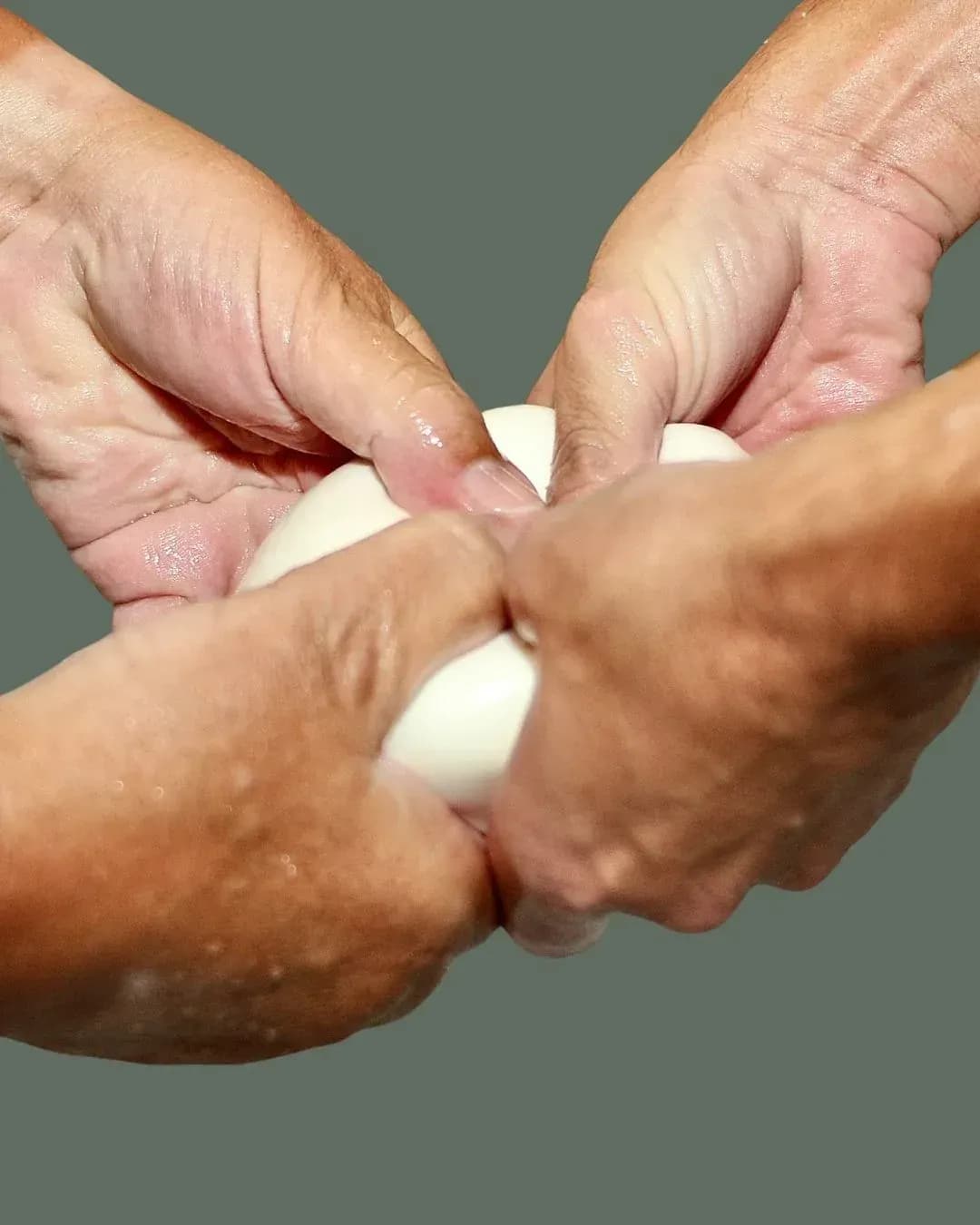 mozzarella