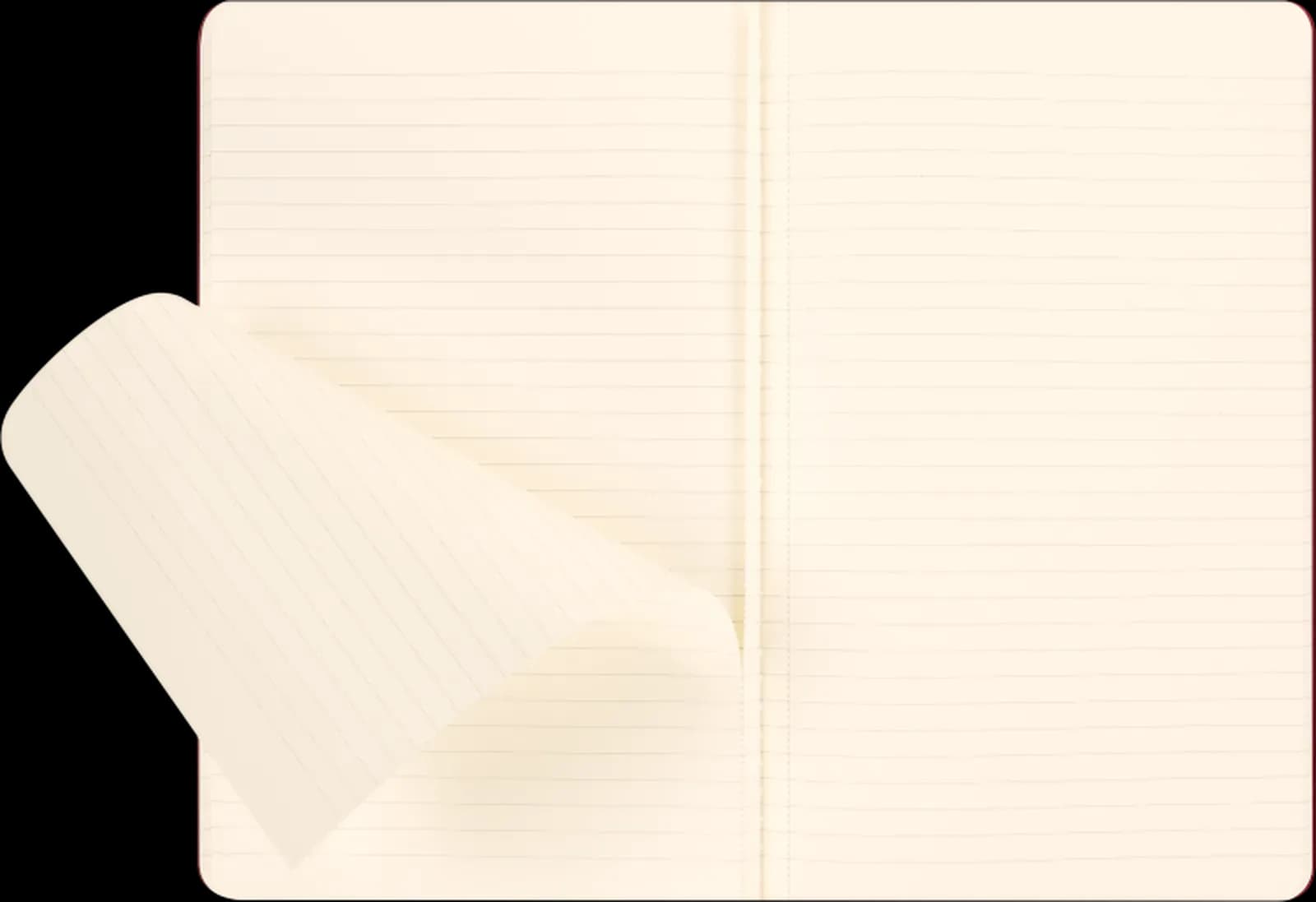 Interior de la libreta moleskine